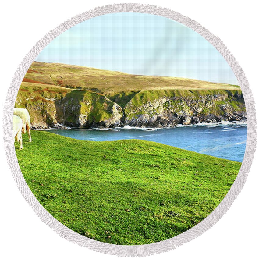 Sheep Round Beach Towel featuring the photograph Autumn Grazing - Silver Strand, Ireland #1 by Lexa Harpell