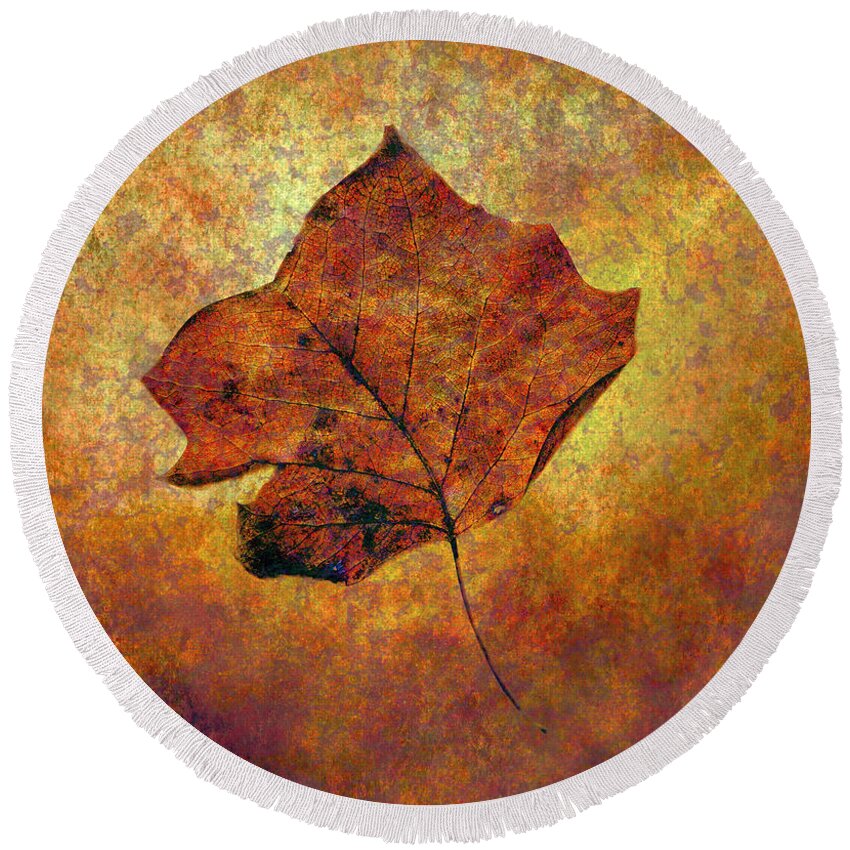 Autumn Round Beach Towel featuring the photograph Autumn Leaf #1 by Judi Bagwell