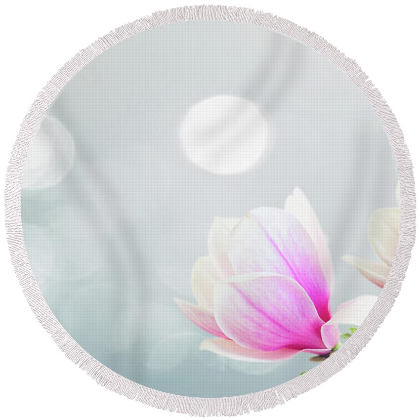 Magnolia Round Beach Towel featuring the photograph Blossoming Pink Magnolia Flowers by Anastasy Yarmolovich