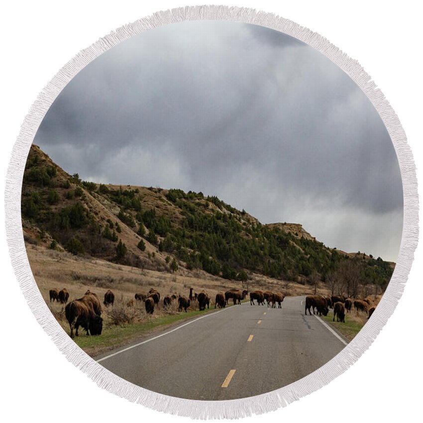 Buffalo Round Beach Towel featuring the photograph Buffalo on the road at Theodore Roosevelt National Park in North Dakota #1 by Eldon McGraw