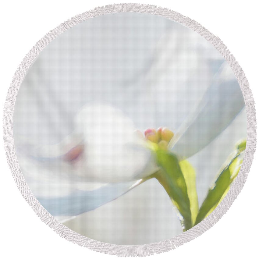 Nature Round Beach Towel featuring the photograph Dogwood #1 by Linda Shannon Morgan