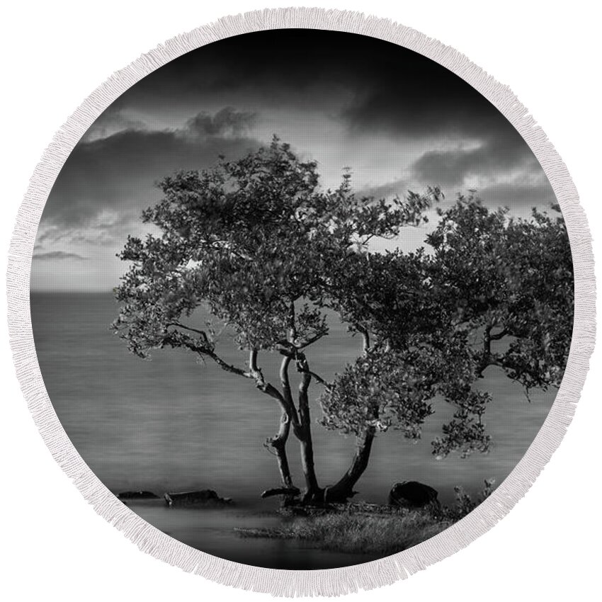 Nature Round Beach Towel featuring the photograph Facing The Storm #2 by Marvin Spates