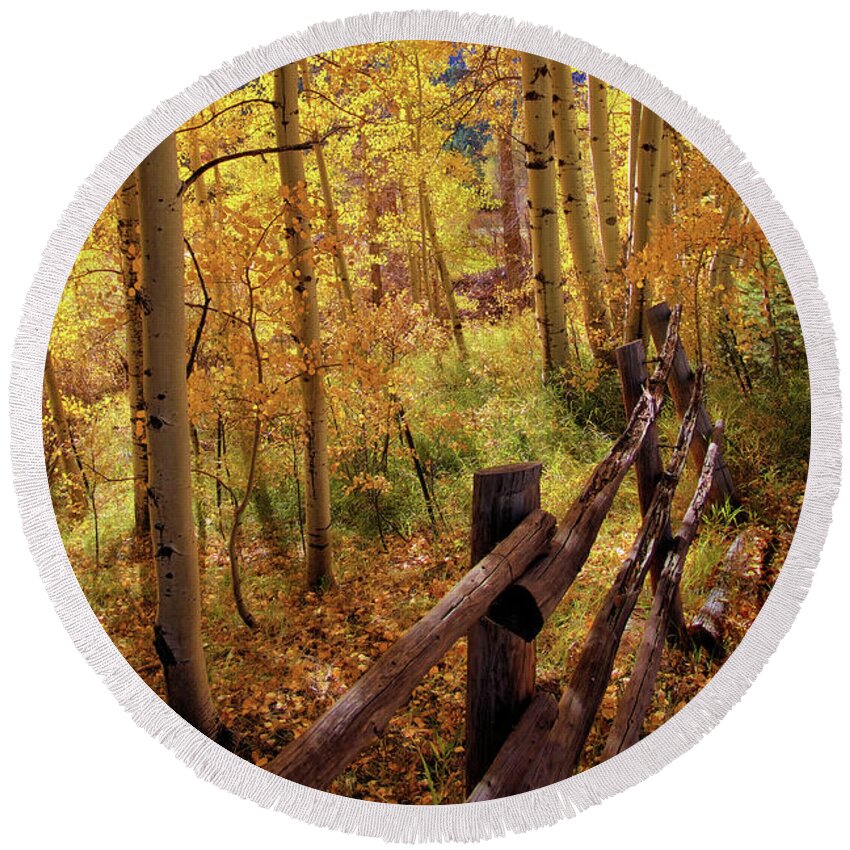 Colorado Round Beach Towel featuring the photograph Fall colors #1 by Bob Falcone