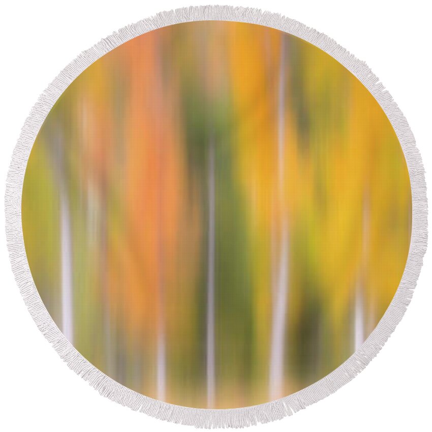 Fall Colors Round Beach Towel featuring the photograph Flavors of the Forest #1 by Darren White