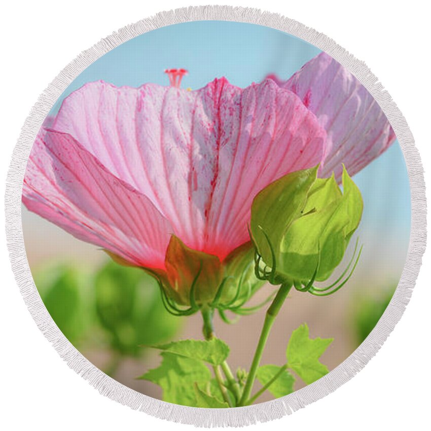 Landscape Flower Round Beach Towel featuring the photograph Flower #1 by Michelle Wittensoldner