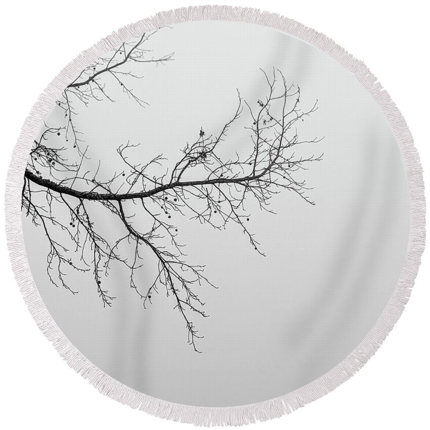 Black Round Beach Towel featuring the photograph Foggy Morning In The Forest In Monotone #1 by Alex Grichenko
