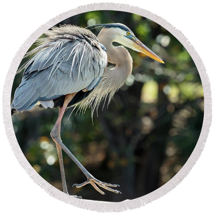 Birds Round Beach Towel featuring the photograph Great Blue Heron #1 by David Lee