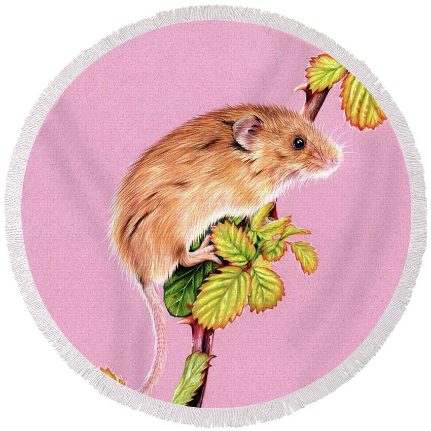 Harvest Mouse Round Beach Towels