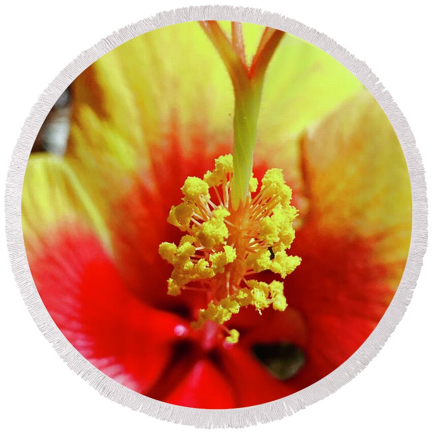 Hibiscus Round Beach Towel featuring the photograph Hibiscus #1 by Laura Forde