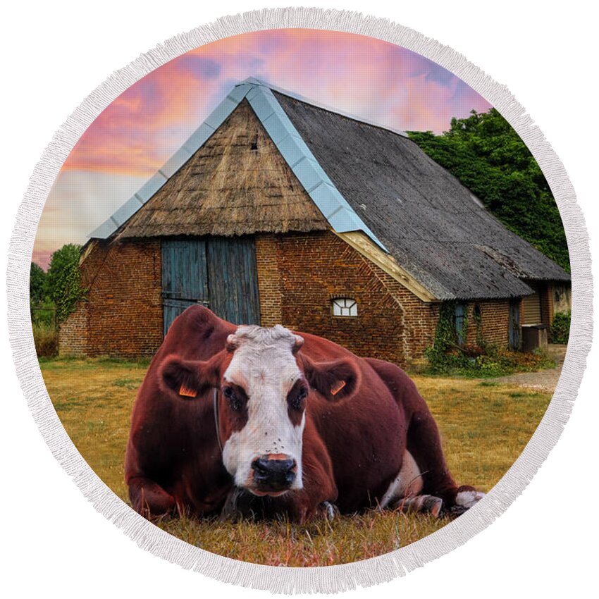 Animals Round Beach Towel featuring the photograph How Now Brown Cow #1 by Debra and Dave Vanderlaan