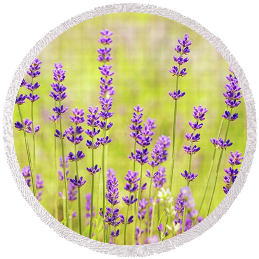 Lavender Round Beach Towel featuring the photograph Lavender Field #2 by Elvira Peretsman
