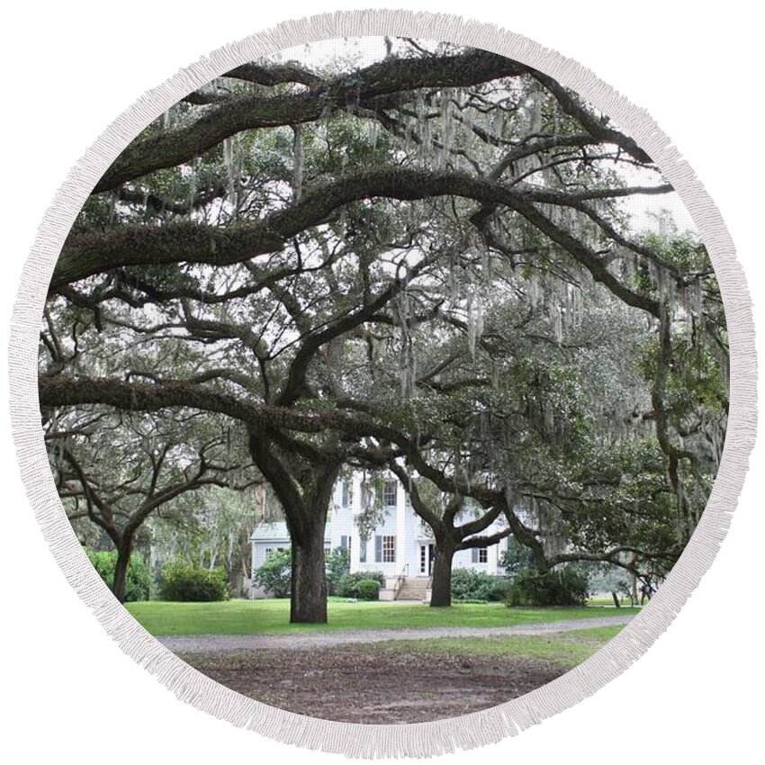 Mcleod Plantation Round Beach Towel featuring the photograph McLeod Plantation #1 by Flavia Westerwelle