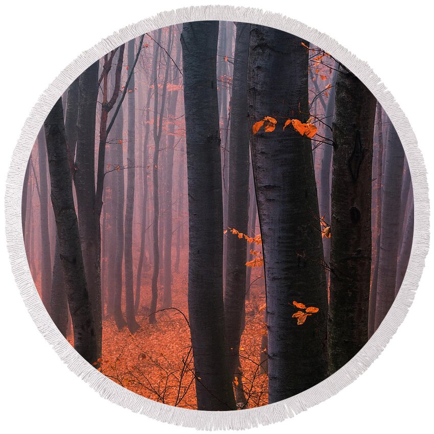 Mountain Round Beach Towel featuring the photograph Orange Wood by Evgeni Dinev