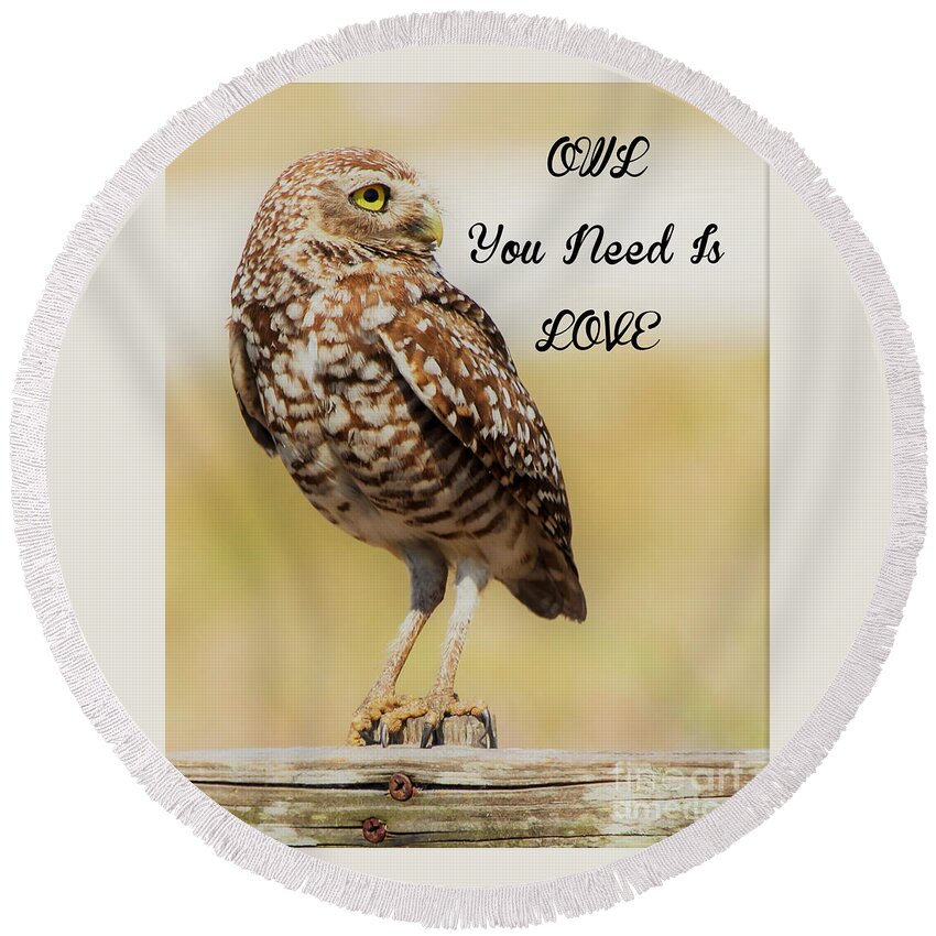 Burrowing Owl Round Beach Towel featuring the photograph Owl you need is love #1 by Joanne Carey