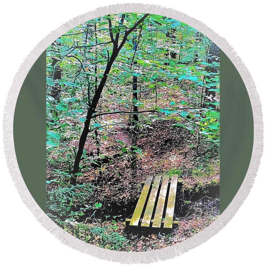Southern Tier Western New York Jamestown Cabin Living Round Beach Towel featuring the photograph Paths less Traveled #1 by John Anderson