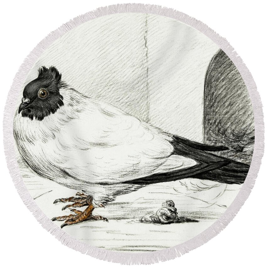 Animal Round Beach Towel featuring the painting Pigeon and a nest with an egg #1 by MotionAge Designs