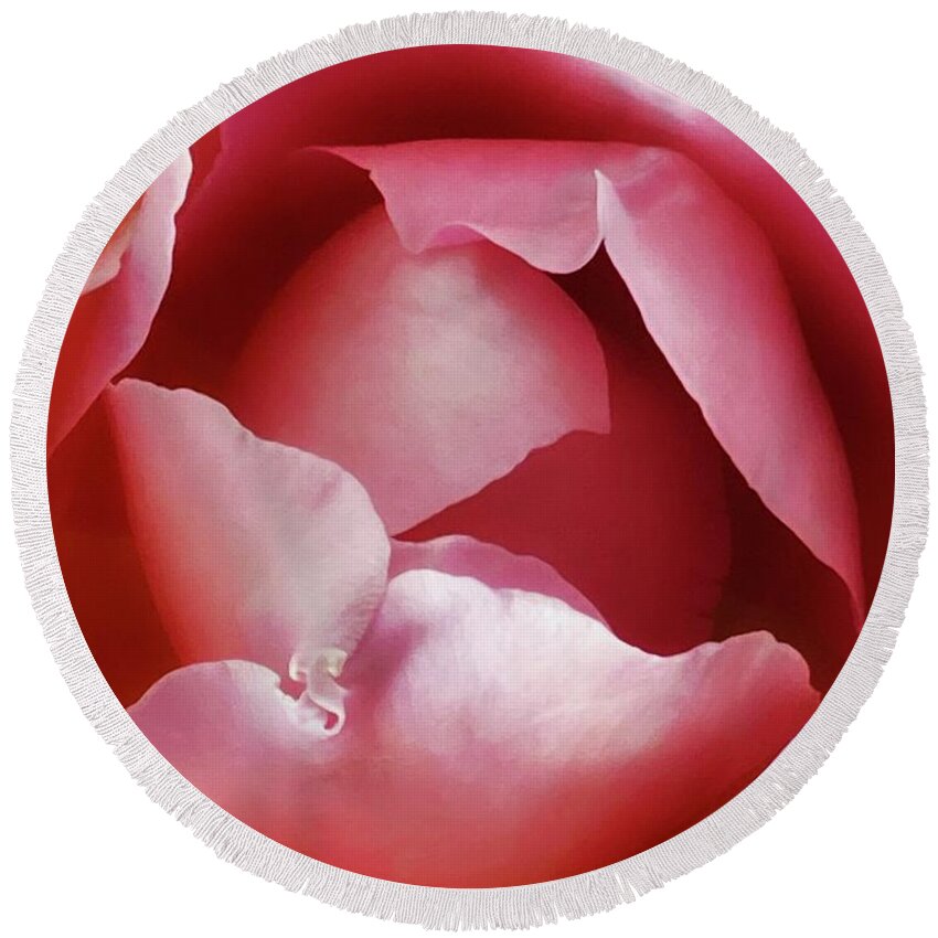 Nursery Round Beach Towel featuring the photograph Pink Rose #1 by Steph Gabler