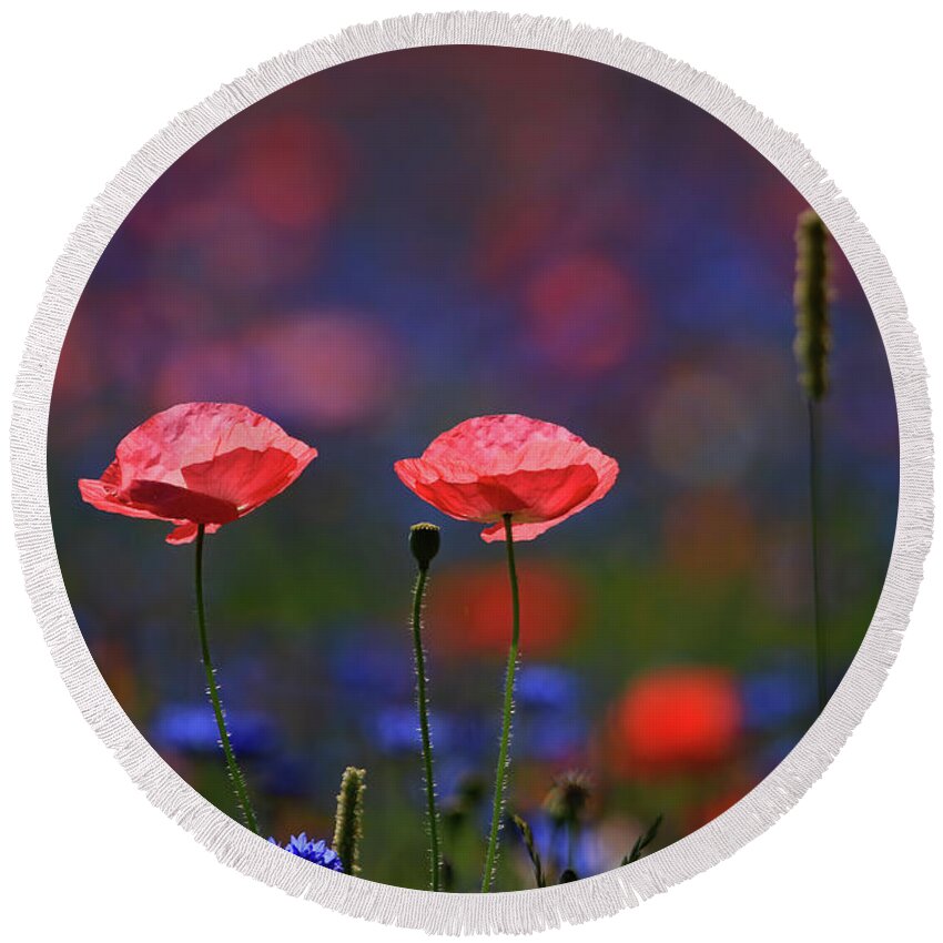Poppy Flowers Round Beach Towel featuring the photograph Poppy Flowers #1 by Shixing Wen