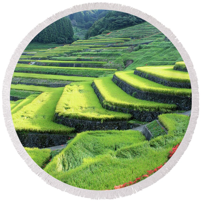 Terraced Field Round Beach Towel featuring the photograph Rice terraces #1 by Kaoru Shimada