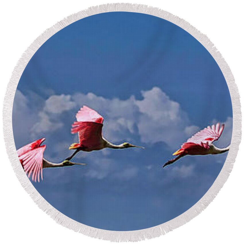 Roseate Round Beach Towel featuring the photograph Roseate Spoonbill In Flight #1 by Rene Vasquez