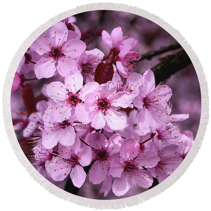 Japanese Cherry Blossom Round Beach Towel featuring the photograph Spring Cherry Blossoms #1 by Scott Cameron
