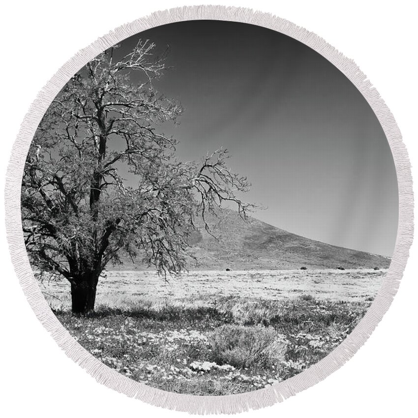 Black & White Round Beach Towel featuring the photograph Standing Alone #1 by Sandra Bronstein