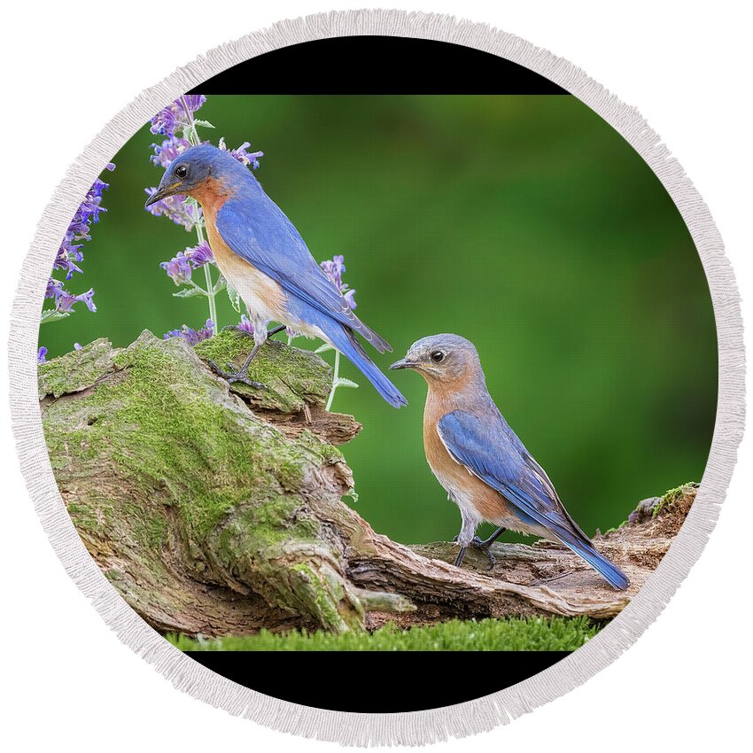 Birds Round Beach Towel featuring the photograph The Perfect Pair #1 by Peg Runyan
