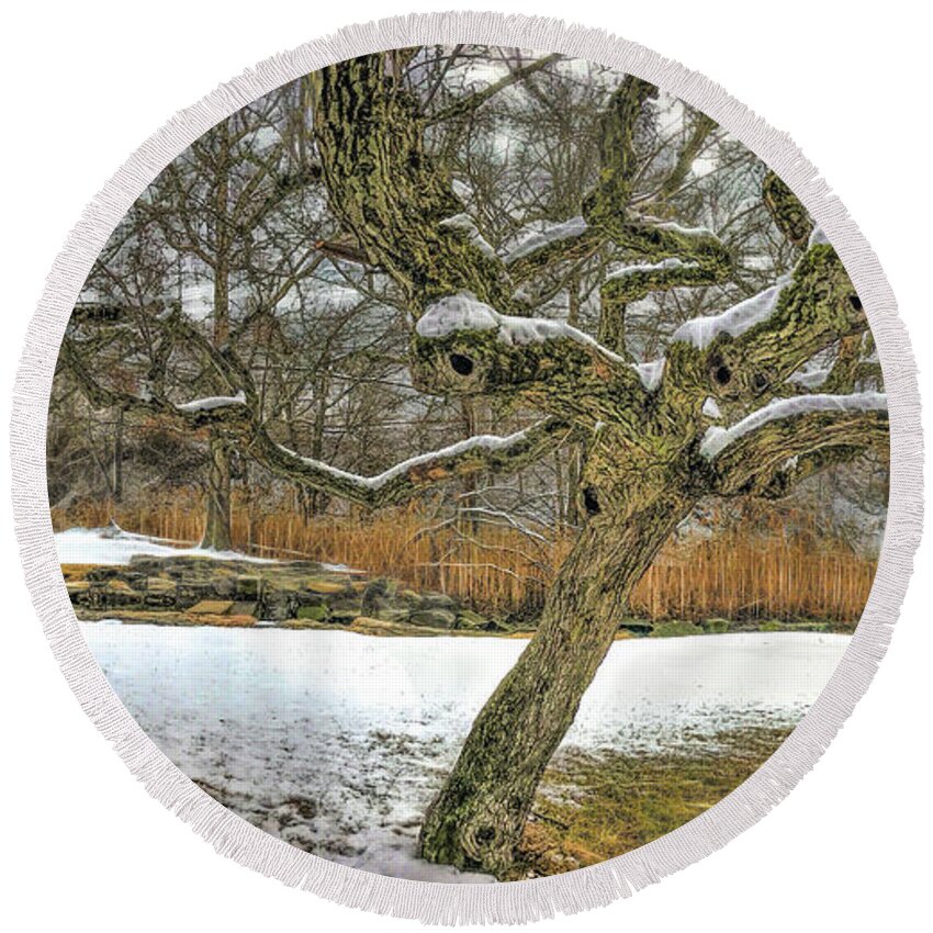 Winter Round Beach Towel featuring the photograph Tree in the marsh #1 by Cordia Murphy