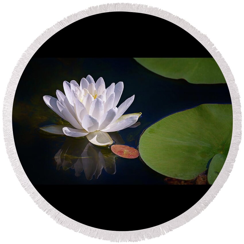 White Flower Round Beach Towel featuring the photograph Water Lily #1 by Peg Runyan