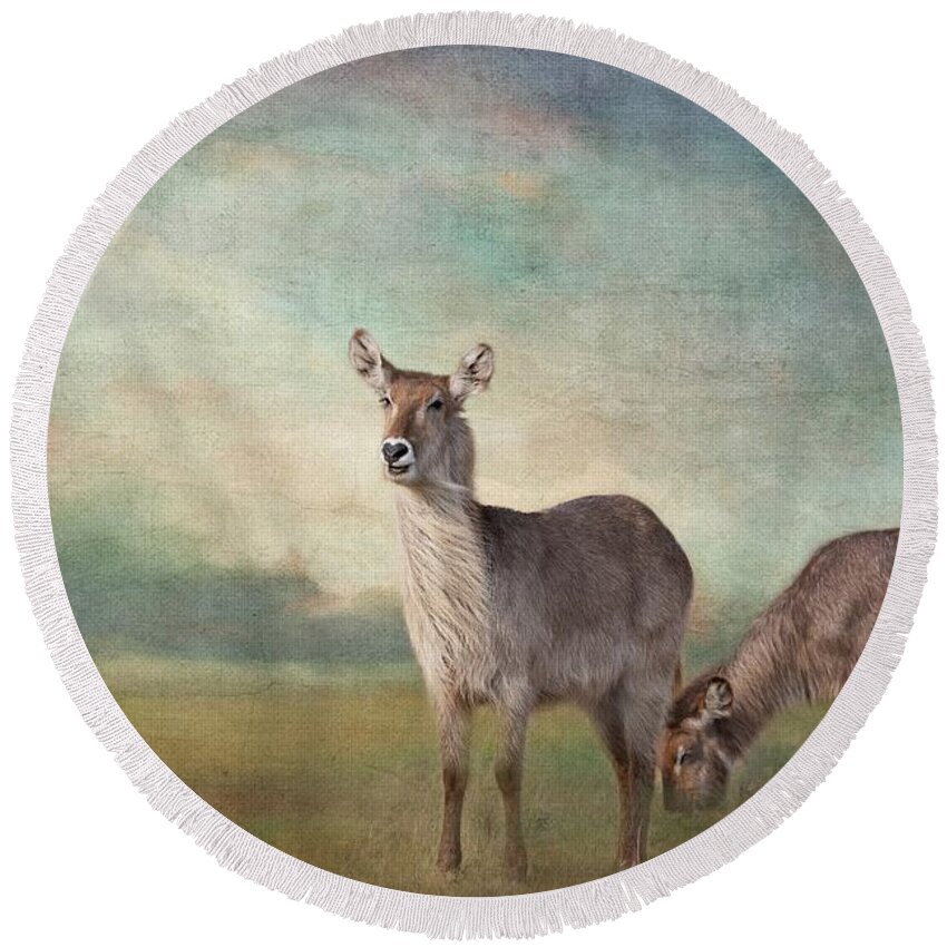 Waterbucks Round Beach Towel featuring the photograph Windy Morning #1 by Eva Lechner