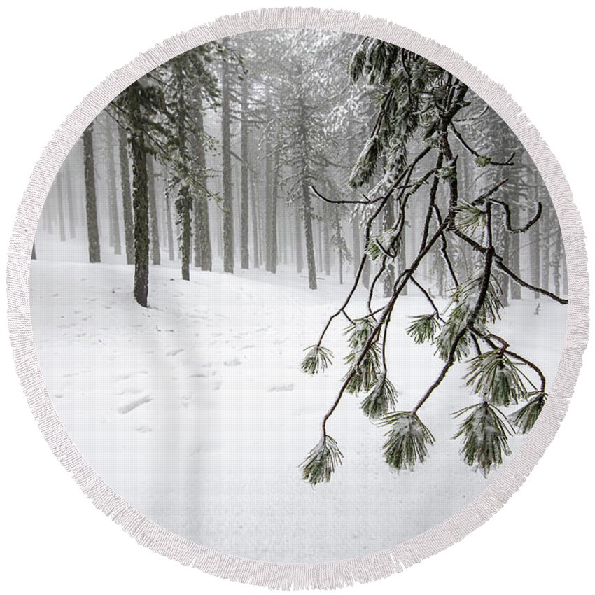 Winter Landscape Round Beach Towel featuring the photograph Winter forest landscape with mountain covered in snow by Michalakis Ppalis
