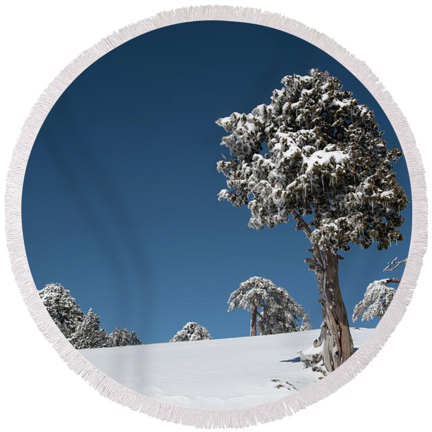 Single Tree Round Beach Towel featuring the photograph Winter landscape in snowy mountains. Frozen snowy lonely fir trees against blue sky. #1 by Michalakis Ppalis