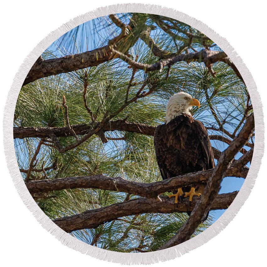 Bird Round Beach Towel featuring the photograph 1262 by Les Greenwood