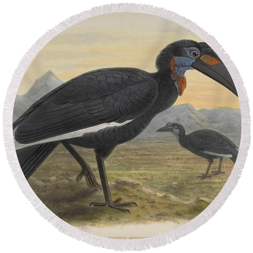 Hornbill Round Beach Towel featuring the mixed media Antique Hornbill illustration #14 by World Art Collective