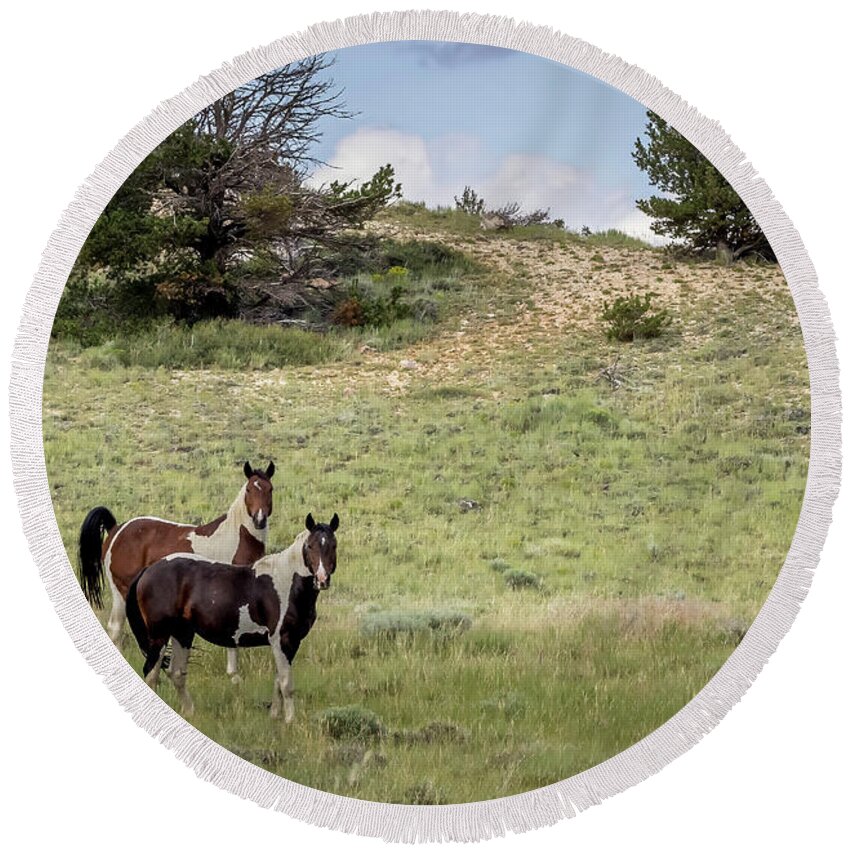 Horse Round Beach Towel featuring the photograph Wild Horses #18 by Laura Terriere