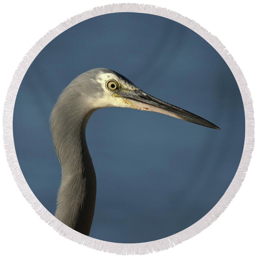 Heron Round Beach Towel featuring the photograph 1808wfaceheron2 by Nicolas Lombard