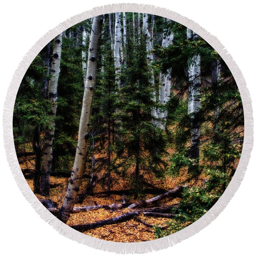 Co Round Beach Towel featuring the photograph Aspen grove, with a golden floor by Doug Wittrock