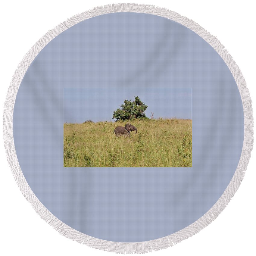  Round Beach Towel featuring the photograph #1 #2 by Jay Handler