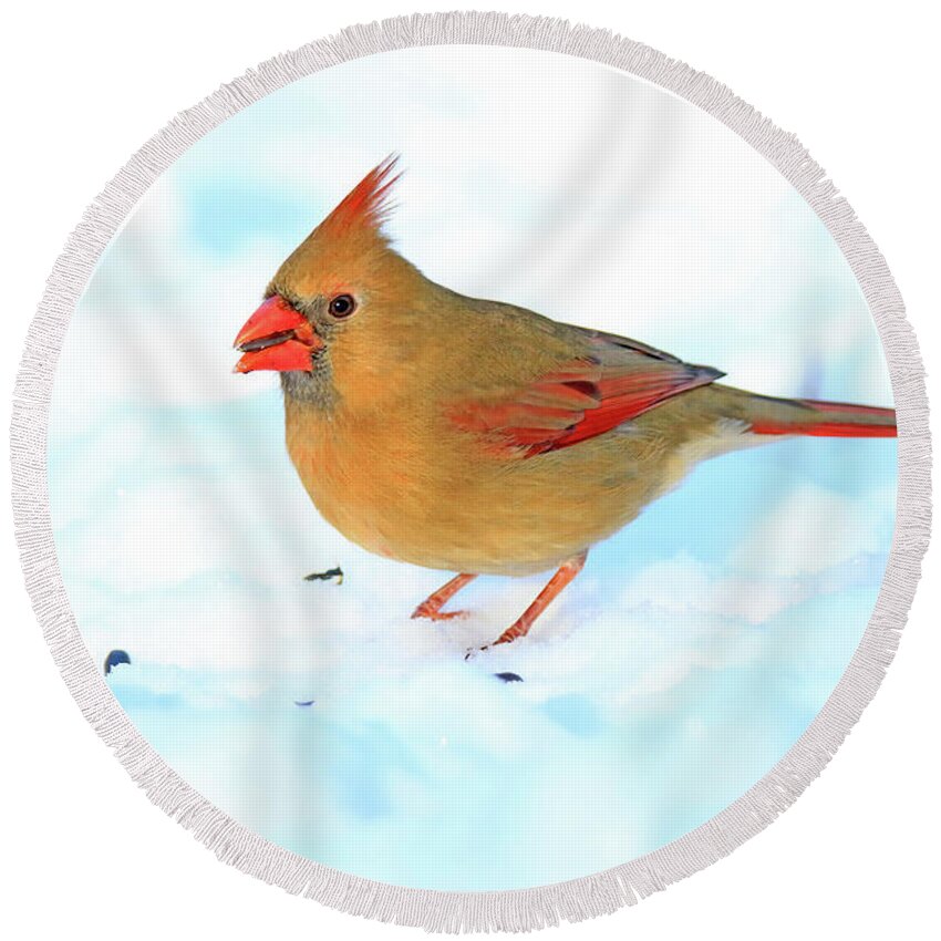 Northern Cardinal Round Beach Towel featuring the photograph Female Northern Cardinal #2 by Shixing Wen