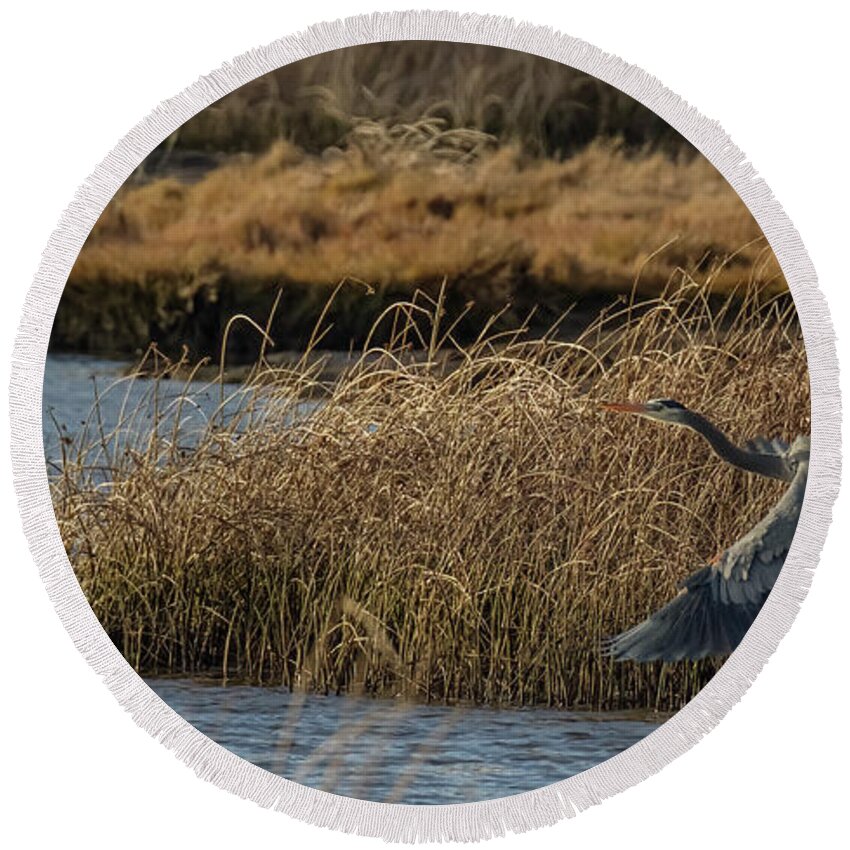 Bird Round Beach Towel featuring the photograph Great Blue Heron #4 by Bill Ray