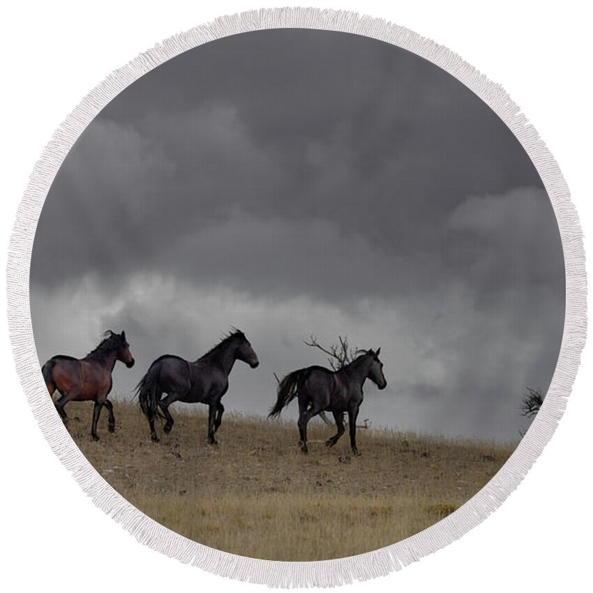 Horse Round Beach Towel featuring the photograph Stallions #2 by Laura Terriere