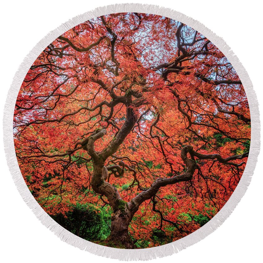 #treeoflifetogether Round Beach Towel featuring the photograph Tree of Life #2 by David Soldano