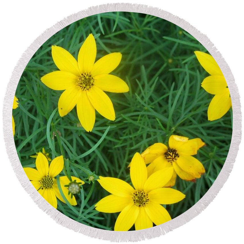 Flowers Round Beach Towel featuring the photograph Yellow Flowers #2 by Stephanie Moore