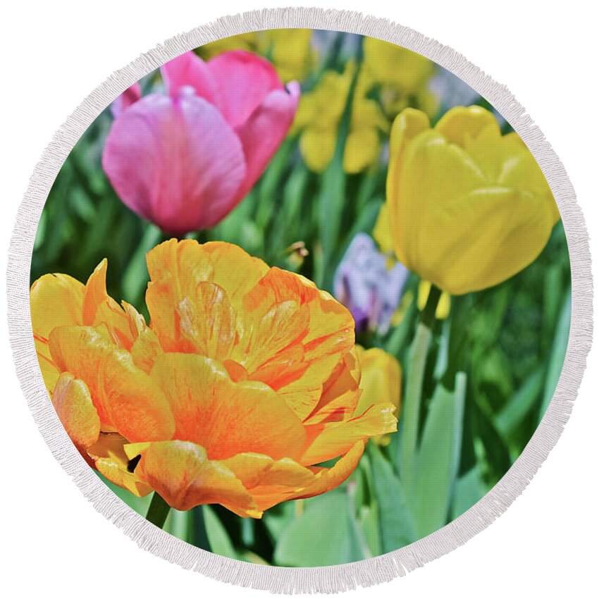 Tulips Round Beach Towel featuring the photograph 2020 Acewood Tulips Front Lawn by Janis Senungetuk