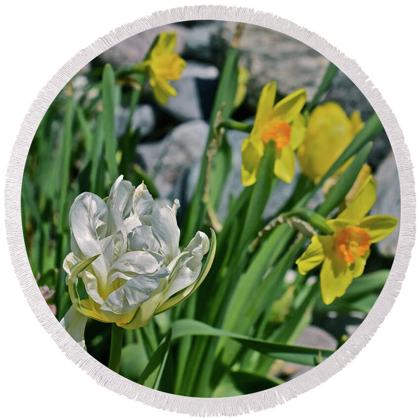 Tulips Round Beach Towel featuring the photograph 2020 Acewood Tulips, Hyacinth and Daffodils by Janis Senungetuk