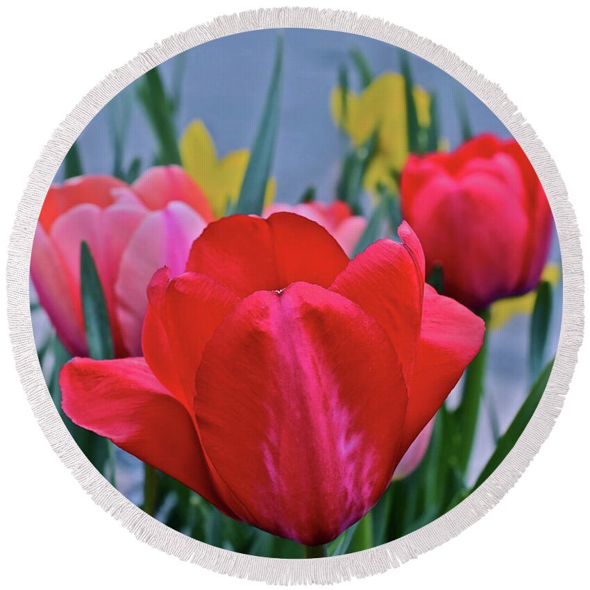 Tulips Round Beach Towel featuring the photograph 2020 Acewood Tulips Welcome by Janis Senungetuk