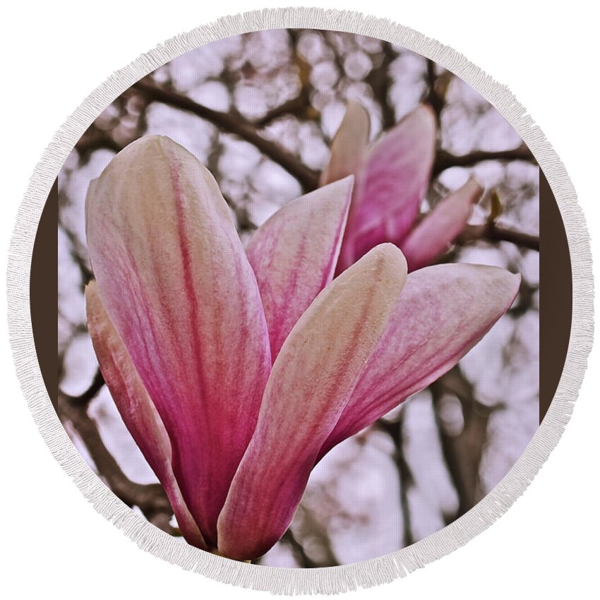 Magnolia Round Beach Towel featuring the photograph 2020 May Day Magnolia Close-up by Janis Senungetuk