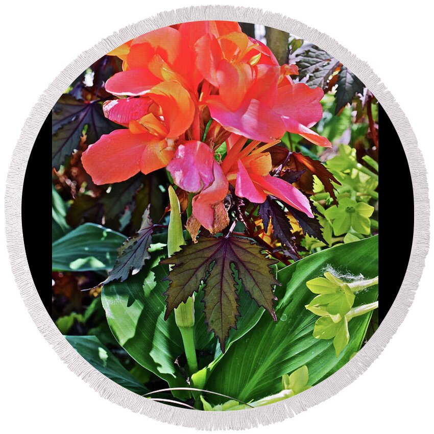 Canna Round Beach Towel featuring the photograph 2020 Mid June Garden Canna With Nicotiana by Janis Senungetuk