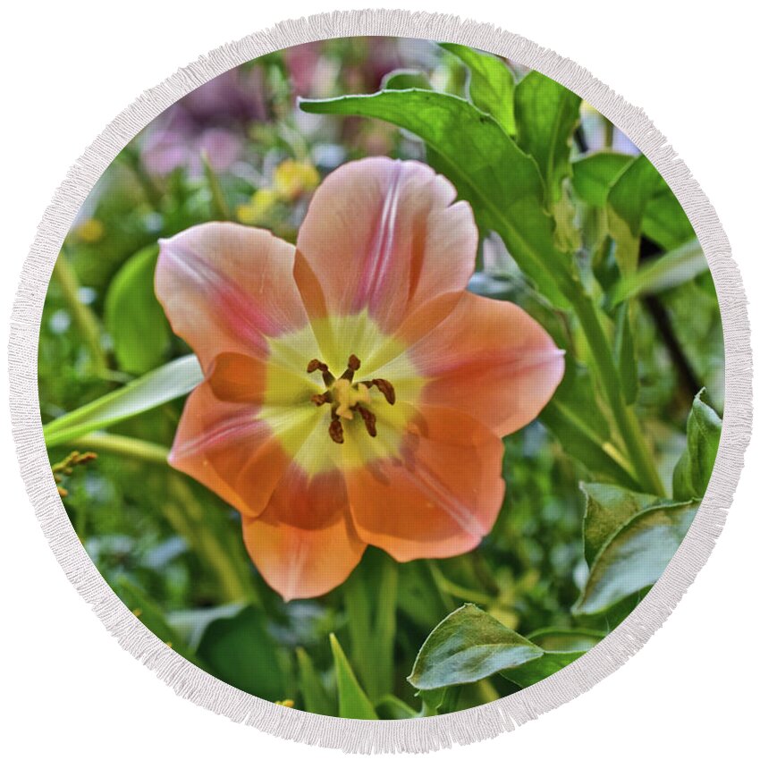 Spring Flowers Round Beach Towel featuring the photograph 2023 Spring Show Orange Tulip by Janis Senungetuk