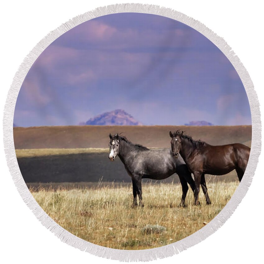 Horse Round Beach Towel featuring the photograph Wild Horses #25 by Laura Terriere